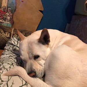 Meet your Posher, Eric